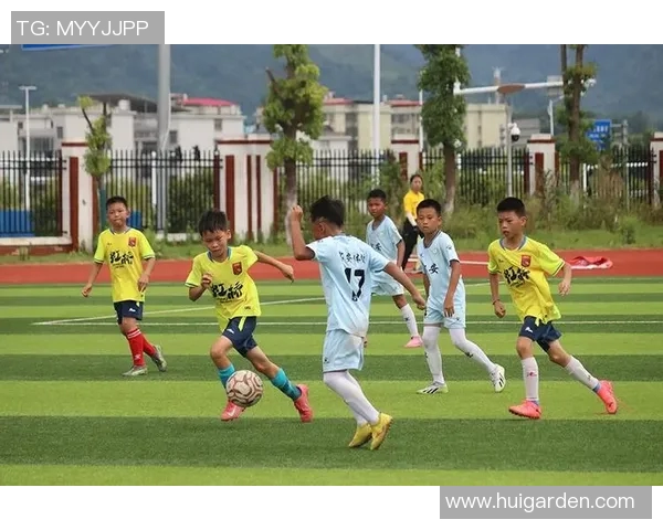 江西萍乡足球明星的成长历程与成就揭秘